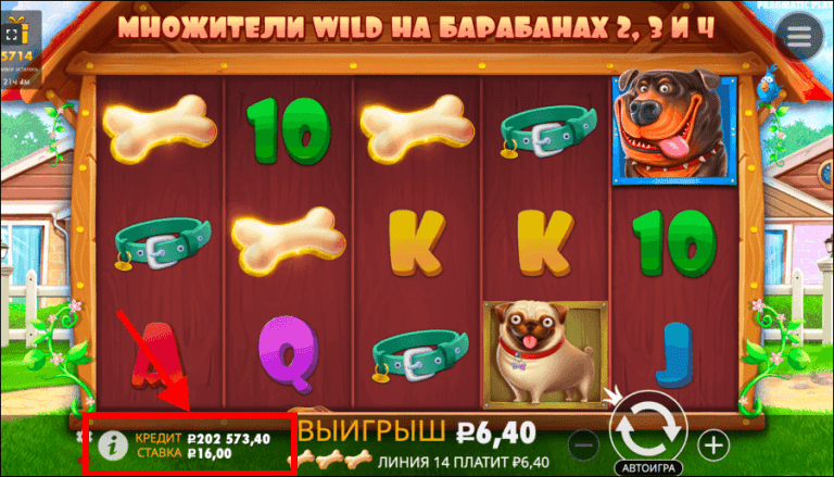 dog house slot онлайн